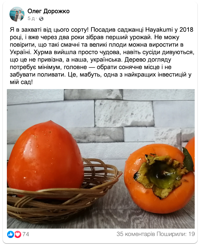 Заголовок